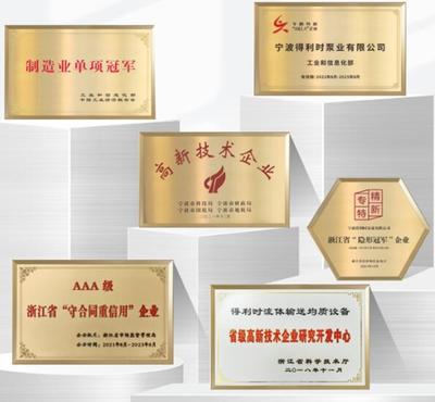 得利时泵业入选浙江省内外贸一体化企业，彰显浙江服务型制造新标杆