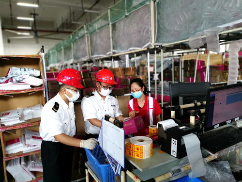 广州海关跨境电商进出口业务 领跑贸易高质量发展的引擎